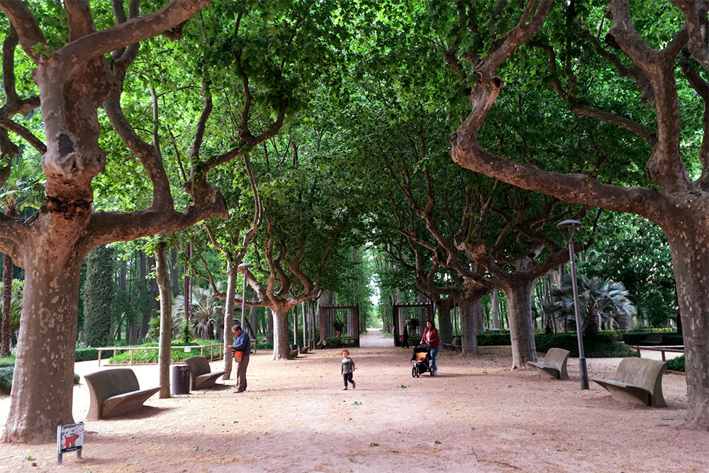 Парк «Девеса» — самый крупный городской парк Каталонии. Его называют легкими Жироны. С 1850 года здесь растет больше 2,5 тысяч платанов