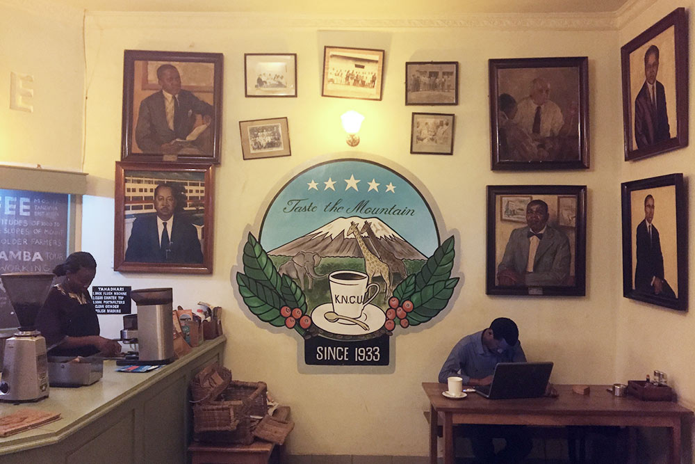 Единственная «европейская» кофейня в Моши Union Cafe. Это представительство союза кофейных производителей из Аруши — он помогает небольшим производителям делать кофе лучшего качества, расширять зоны сбыта, продавать его дороже и сокращать издержки