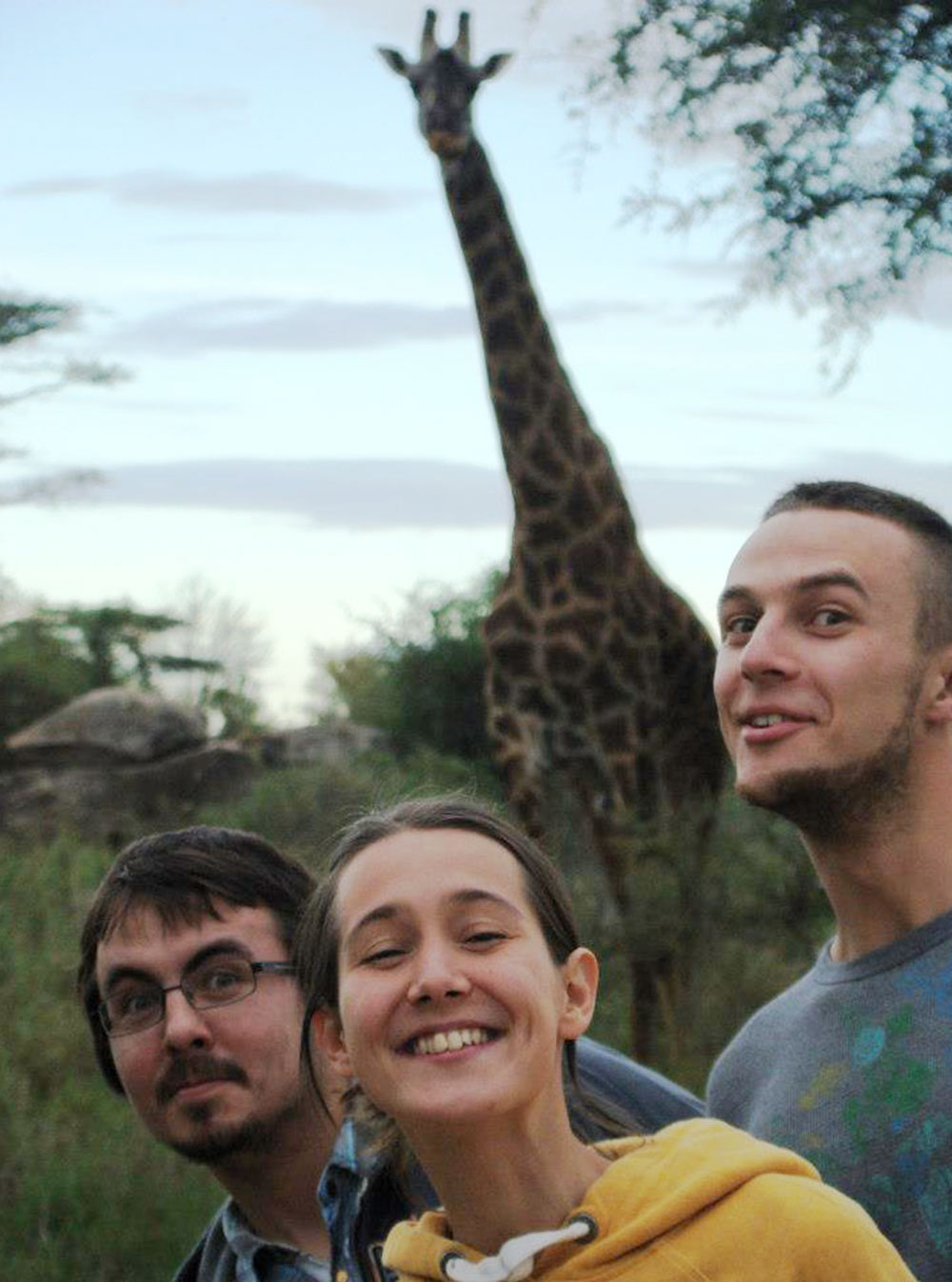 Жираф в кемпинге посреди Серенгети. Мы старательно тянем шеи, чтобы на него походить, а жираф выглядит заинтересованным. Между нами и им всего метров 10⁠—⁠15 и никакой ограды. Тогда я узнала, что жирафы очень доброжелательны и не опасны. Все равно быть так близко страшновато