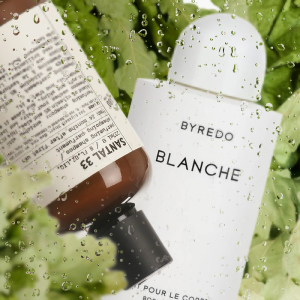 Обложка статьи