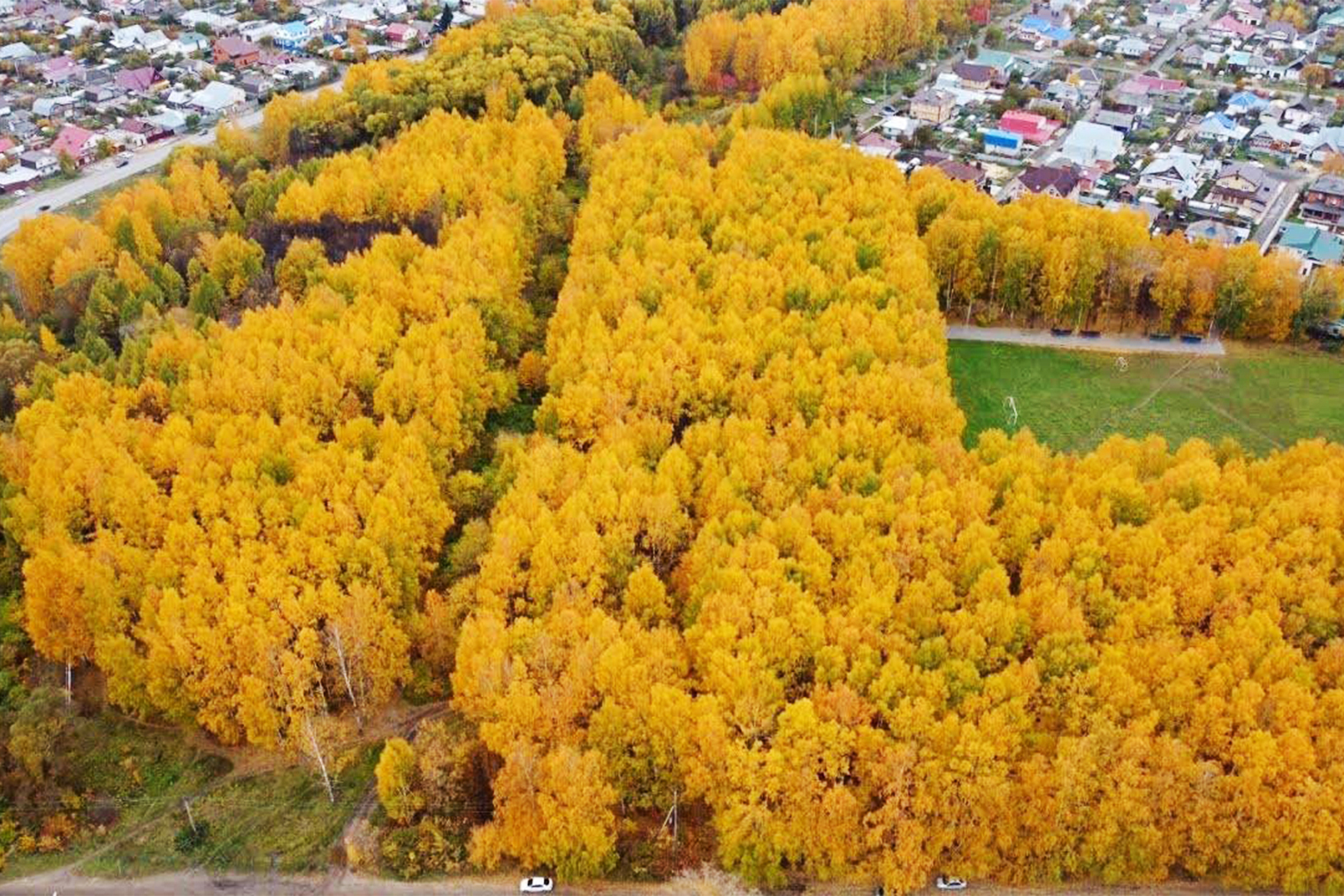 Вид на Тархановский парк в Йошкар-Оле, где иногда гуляет Марк. Кадр: соцсети «Mischa_43Rus»