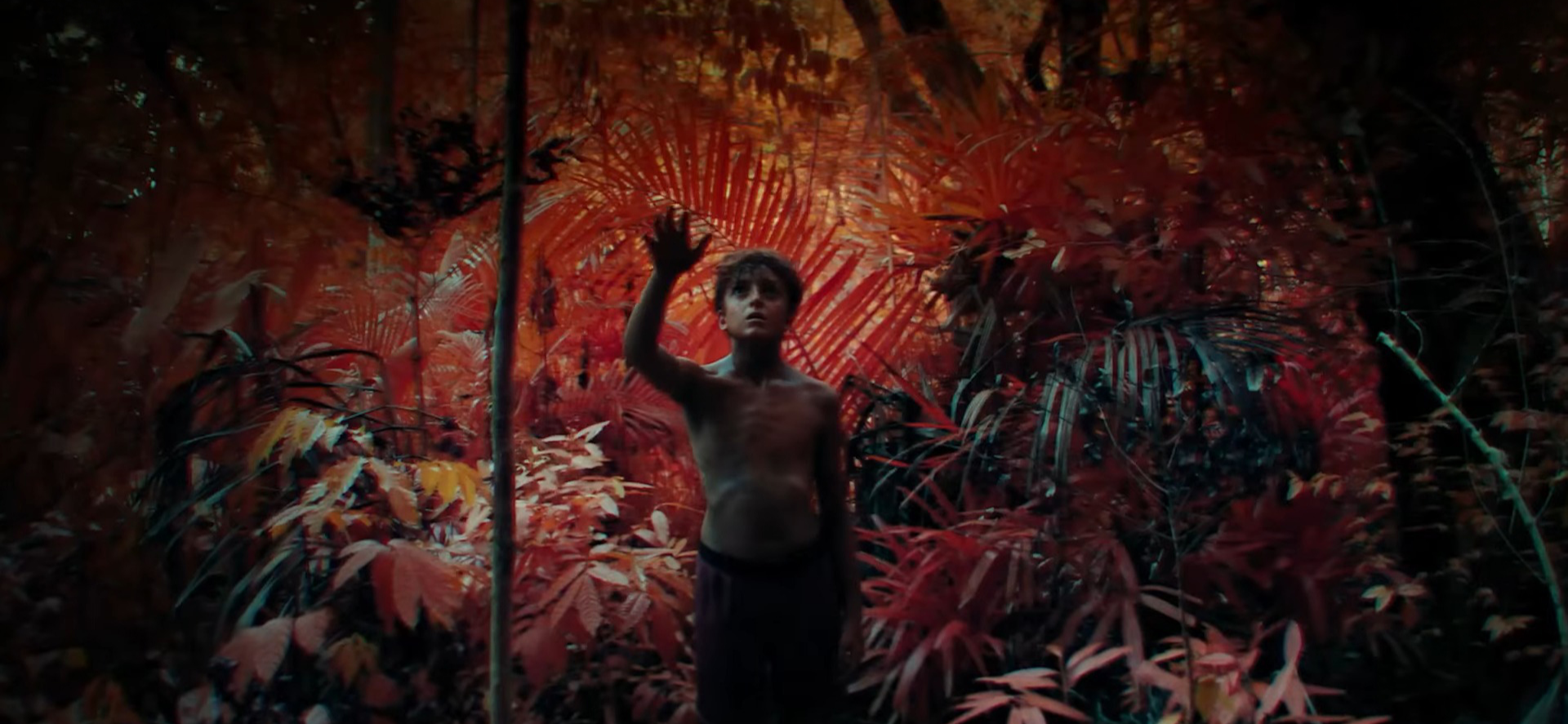 Рекомендую сериал «Повелитель мух»