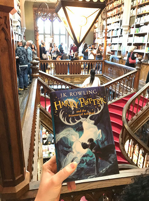 Книжный магазин Livraria Lello, в котором снимали Гарри Поттера. Вход стоит 5 € (455 ₽)
