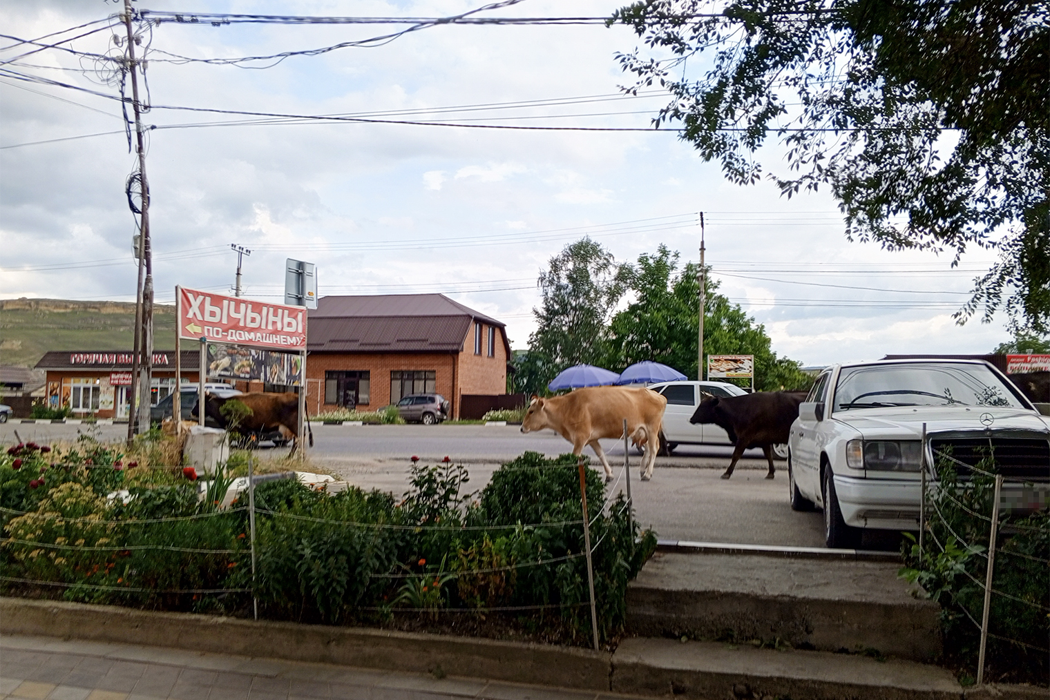 Обычный день в селе Учкекен, Кабардино-Балкария