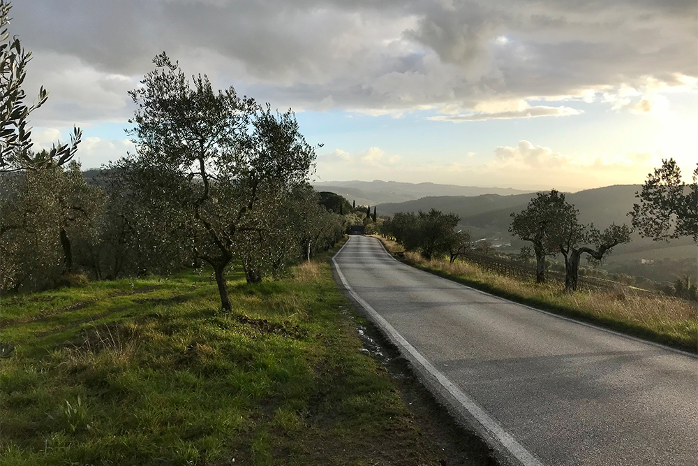 В Тоскане найдутся пейзажи на любой вкус: оливковые рощи, виноградные поля, горы, термальные парки