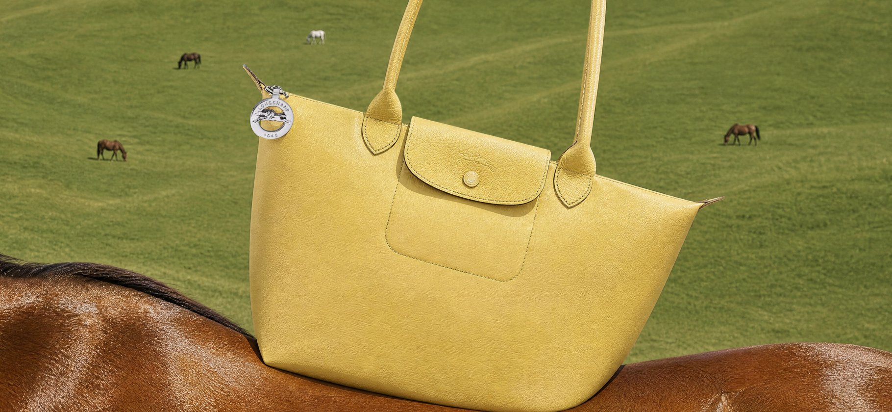 Где купить оригиналь­ные сумки Longchamp и их недорогие аналоги