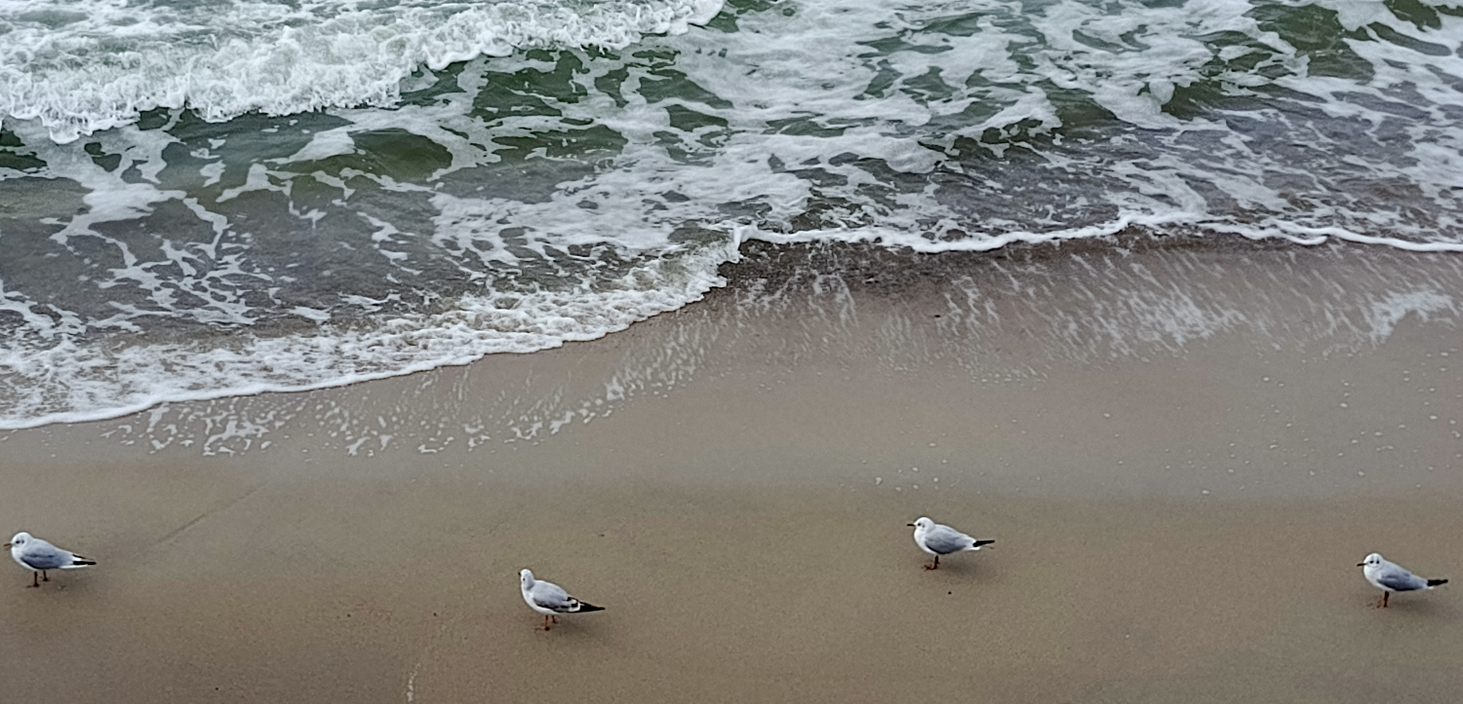 Как я влюбилась в Балтийское море с первого взгляда и навсегда