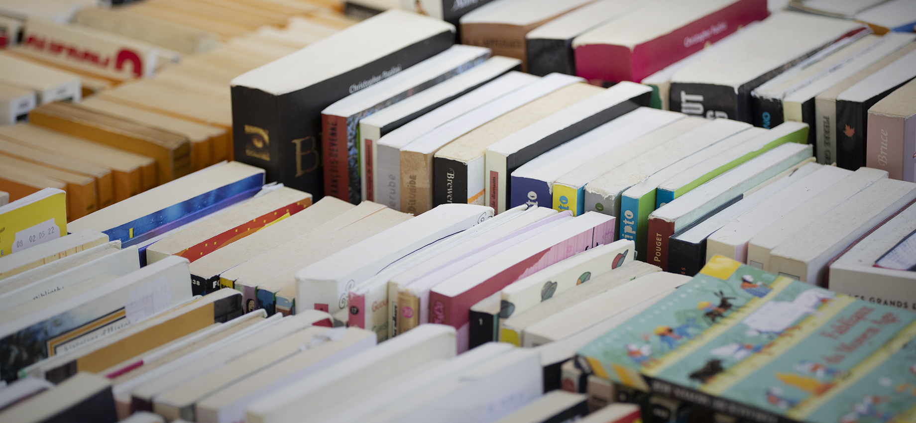 Проект «Всенаука» закрывается: бесплатные книги можно скачать до начала 2024 года