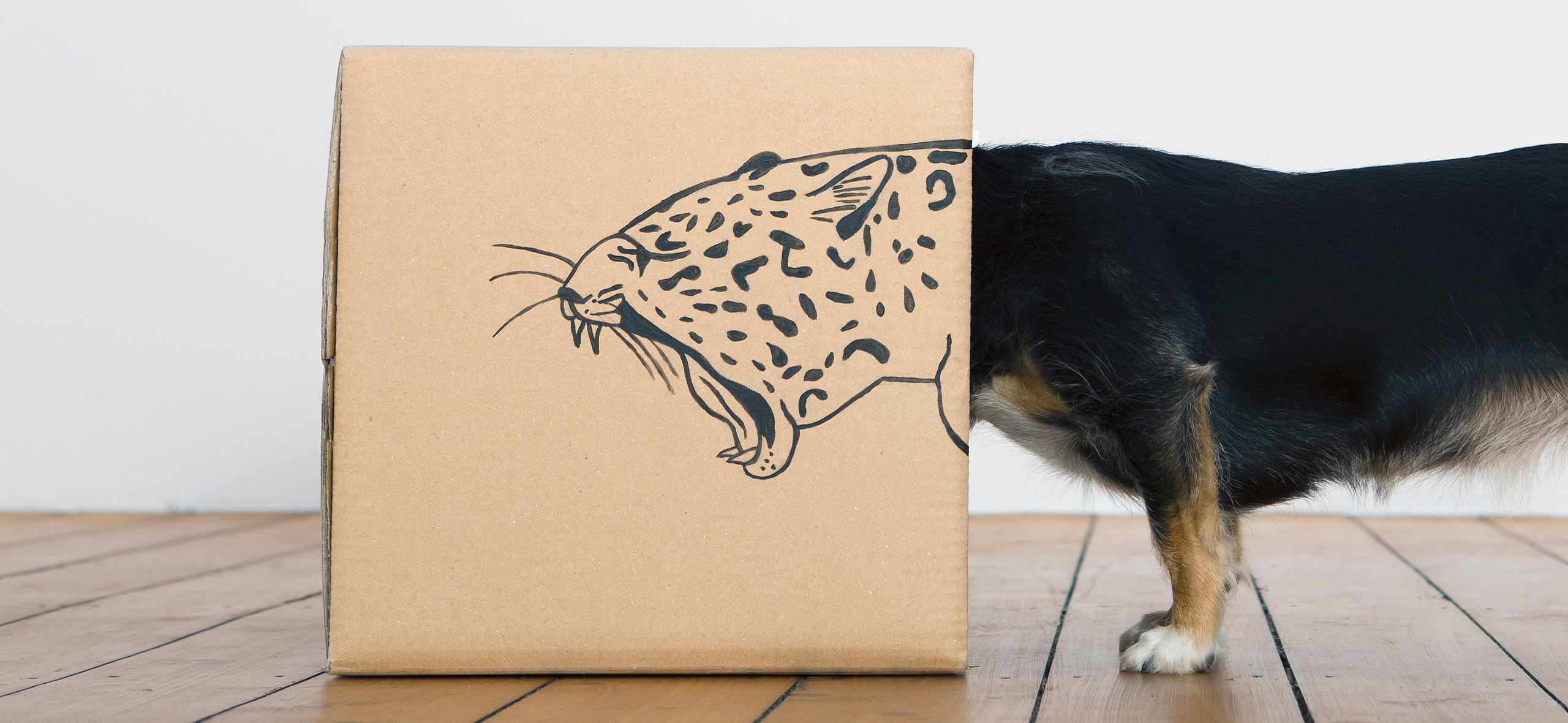 Как мошенники обма­нывают вла­дельцев домашних животных: 9 опас­ных схем