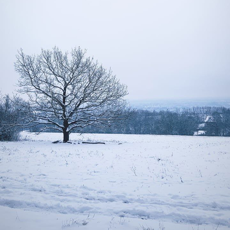 Зимний пейзаж с городского маршрута хайкинга рядом с Веной