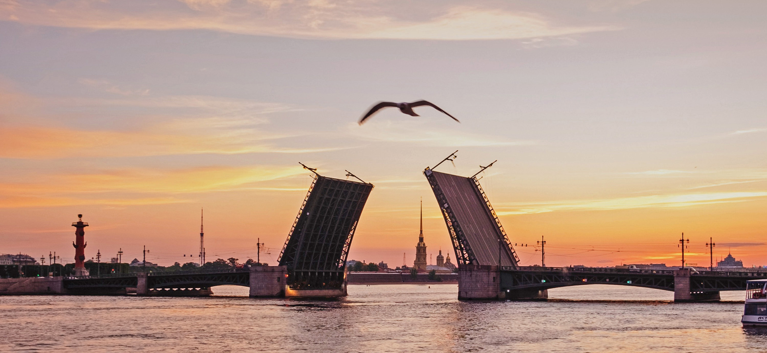 12 мостов Санкт-Петербурга, которые обязательно надо увидеть