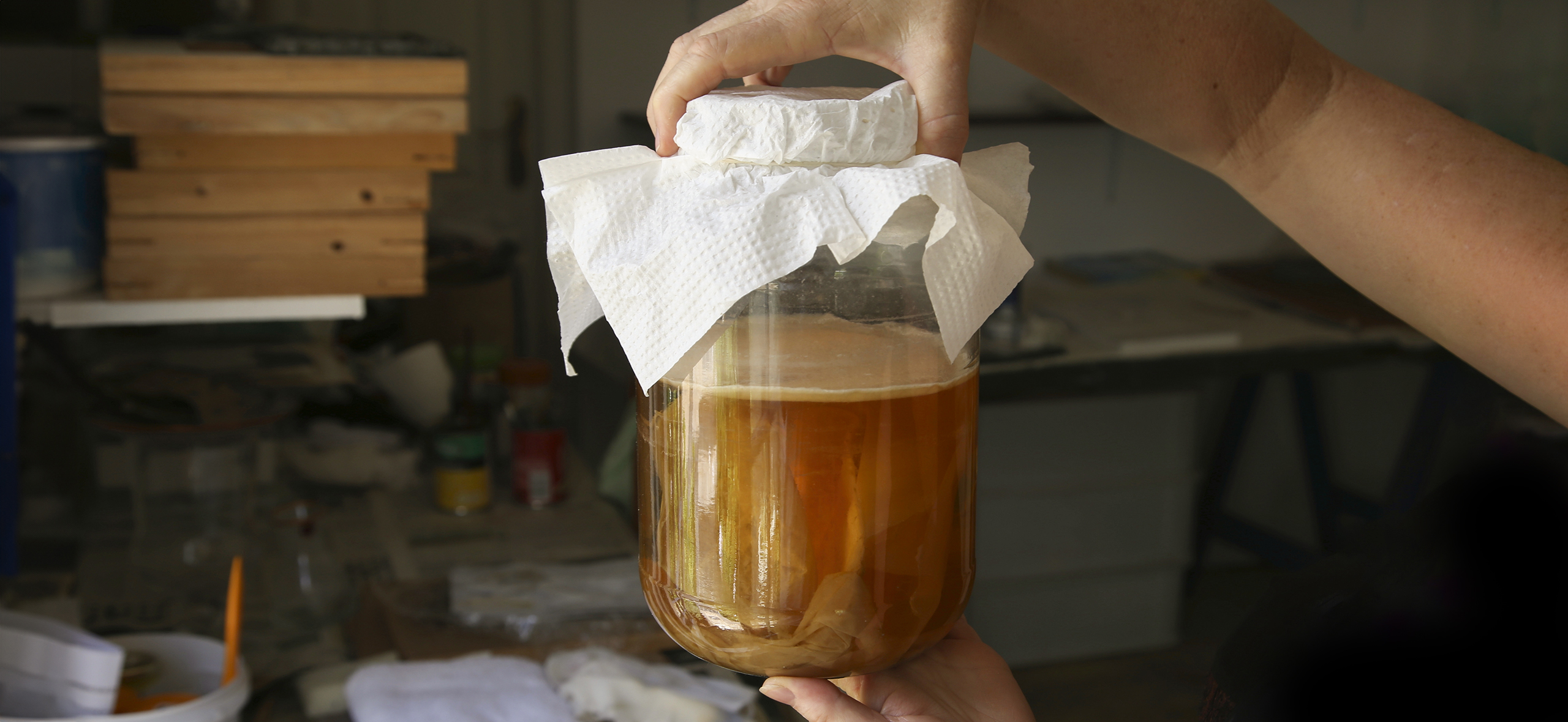 Самостоятельное выращивание чайного гриба в домашних условиях (+19 фото)