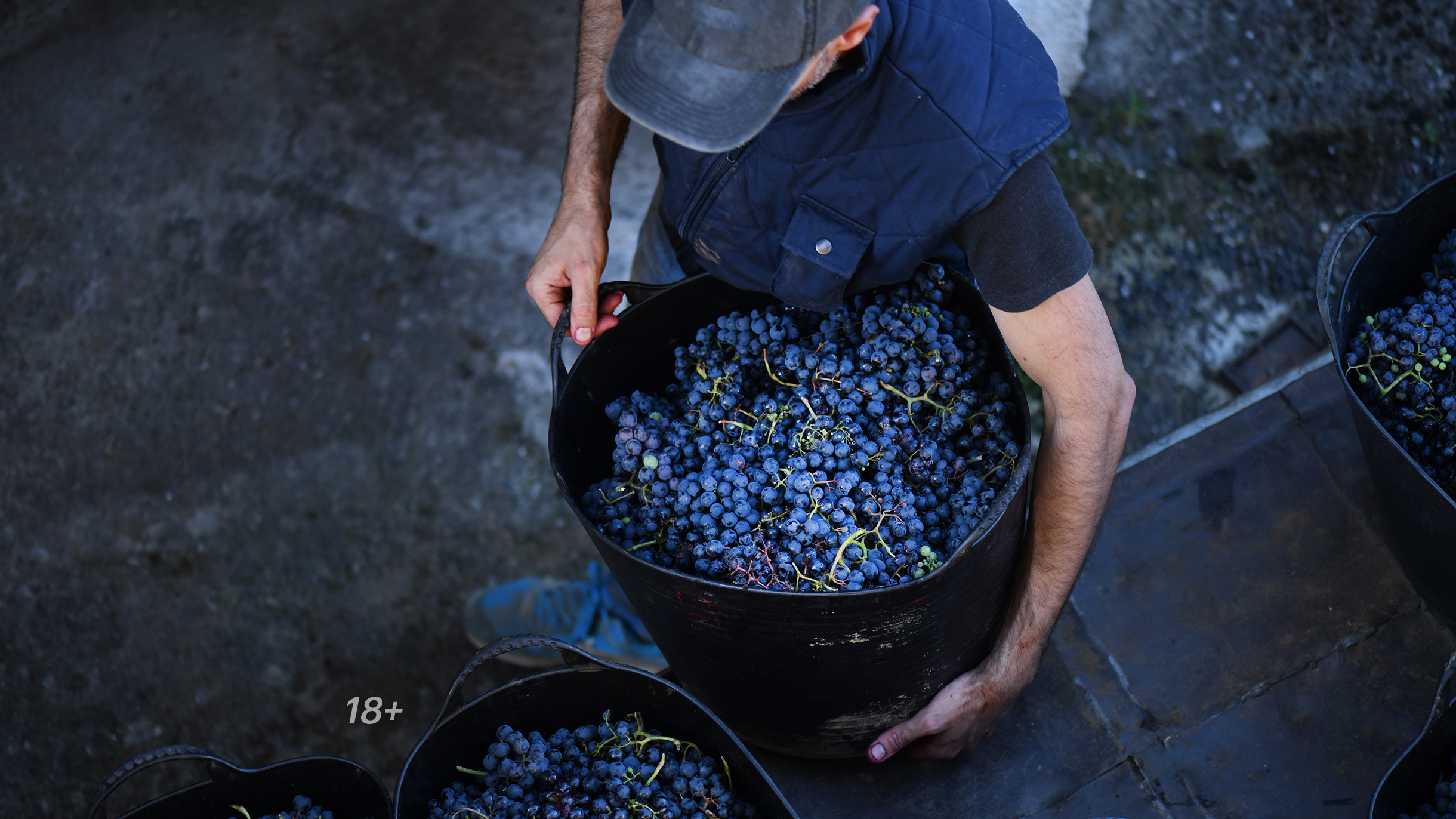 Как сделать вино из винограда в домашних условиях: оборудование, процессброжения и созревания, розлив, как его хранить и консервировать