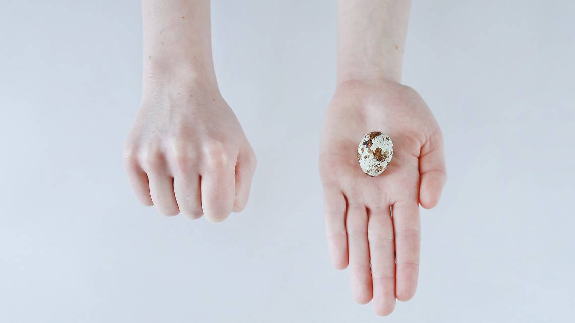 Питание и режим питания