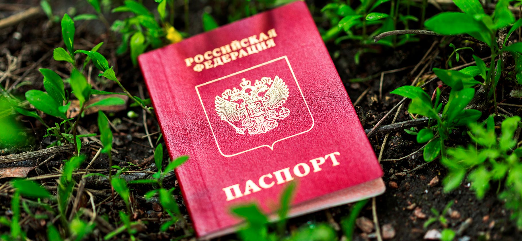 Срок действия паспорта после 45 лет: что говорит закон