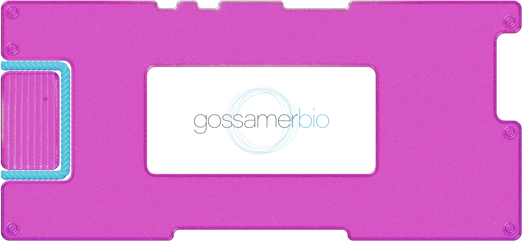 Обзор Gossamer Bio: не «гусь», а биотех
