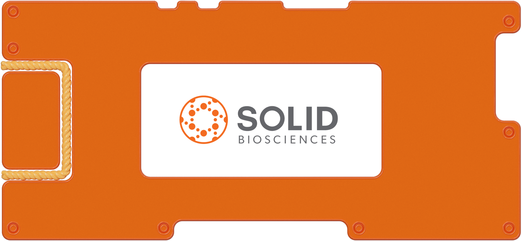 Обзор Solid Biosciences: перспективная биотехнологическая компания