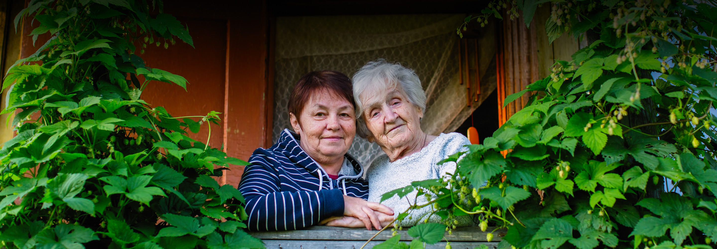 Закупка дров и поездки по России: 9 проектов помощи пожилым людям
