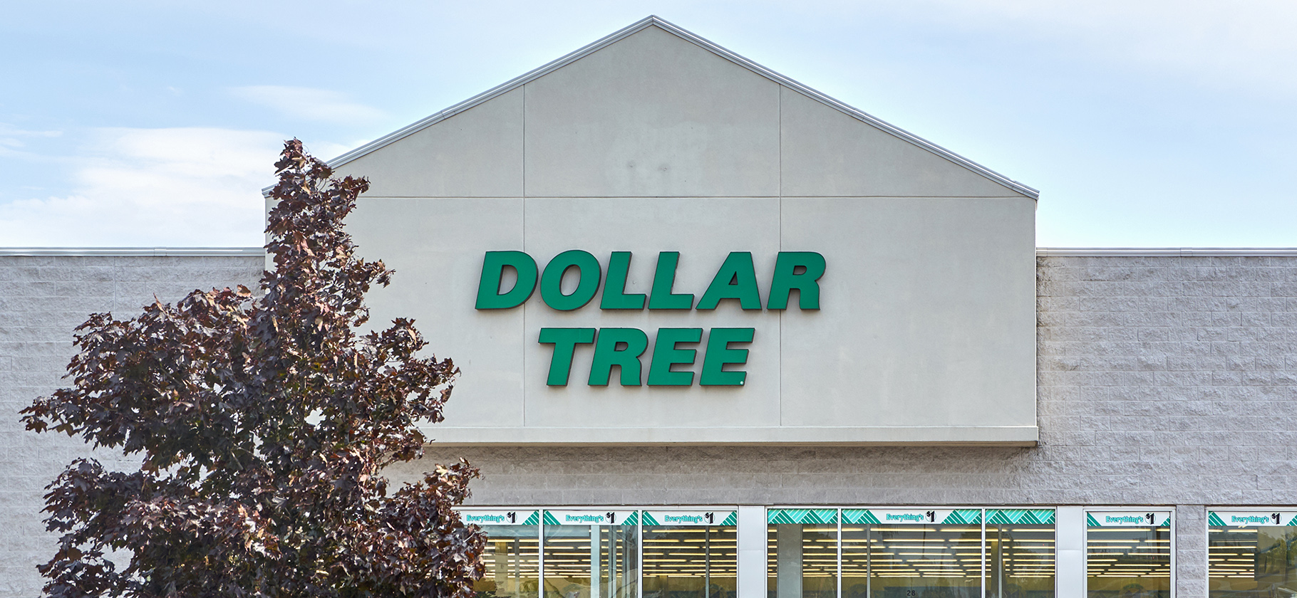 Акции Dollar Tree прибавили 17% после заявления о повышении цен на товары