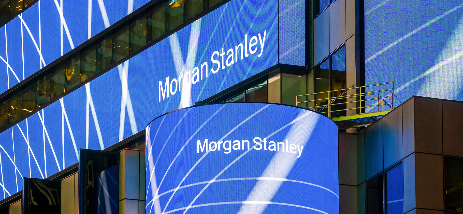 Morgan Stanley: «Розничные инвесторы не дают упасть рынку акций»