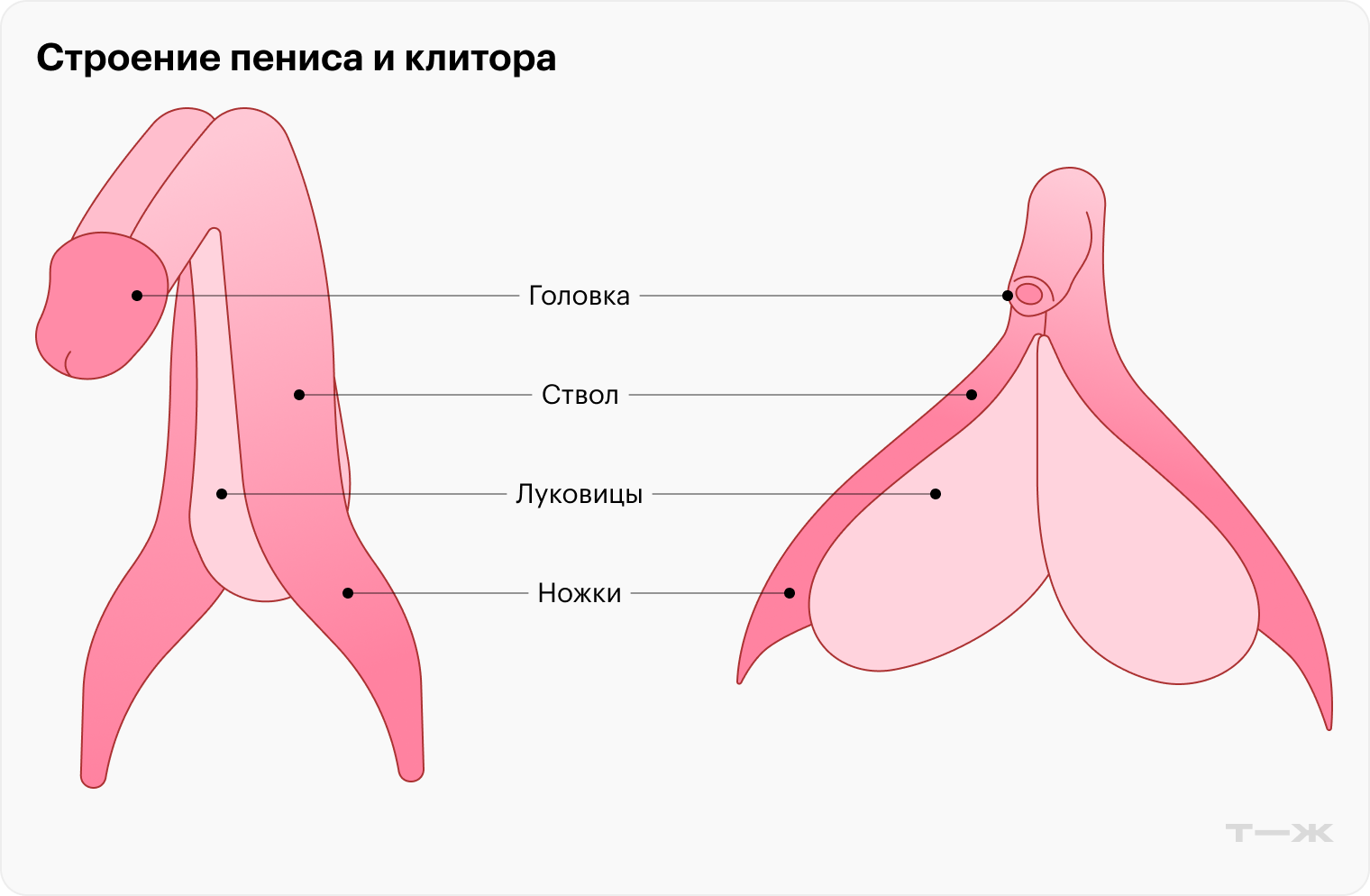 Нарушение оргазма у мужчин