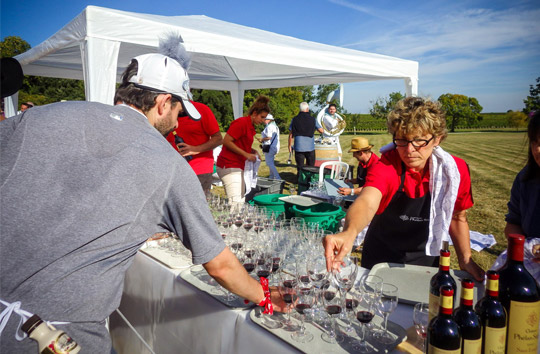 На «Медок Марафоне» участникам наливают вино