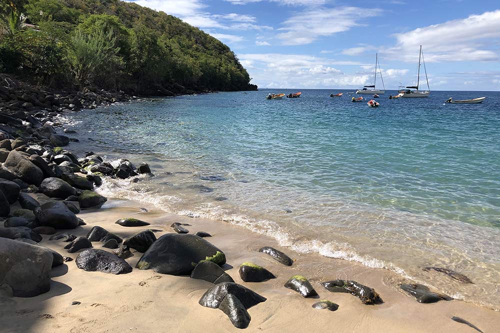 Пляж «Анс⁠-⁠Дюфур» на Мартинике. Здесь отлично снорклить: в воде встречаются маленькие черепахи, морские звезды, кальмары и красивые рыбы