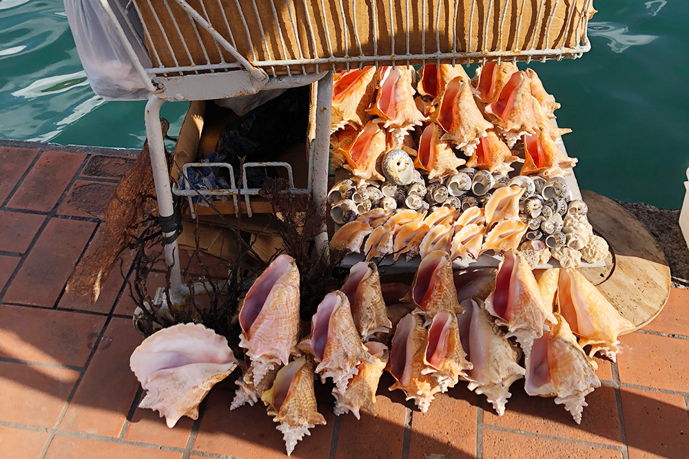 На набережной Сент⁠-⁠Джорджеса в качестве сувениров продаются раковины