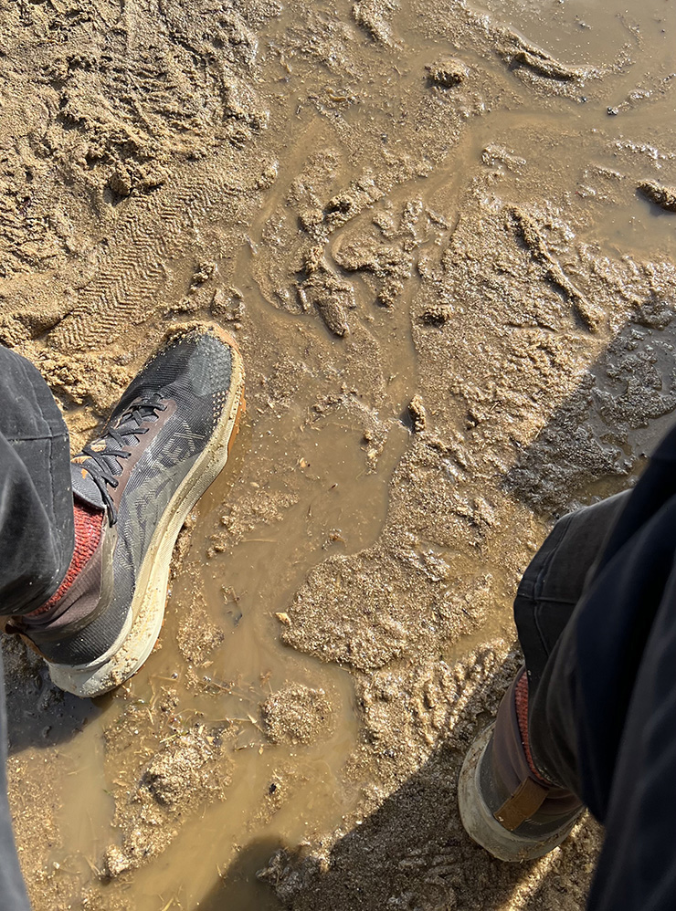 Мои кроссовки выдержали грязь, но стирать их все равно пришлось
