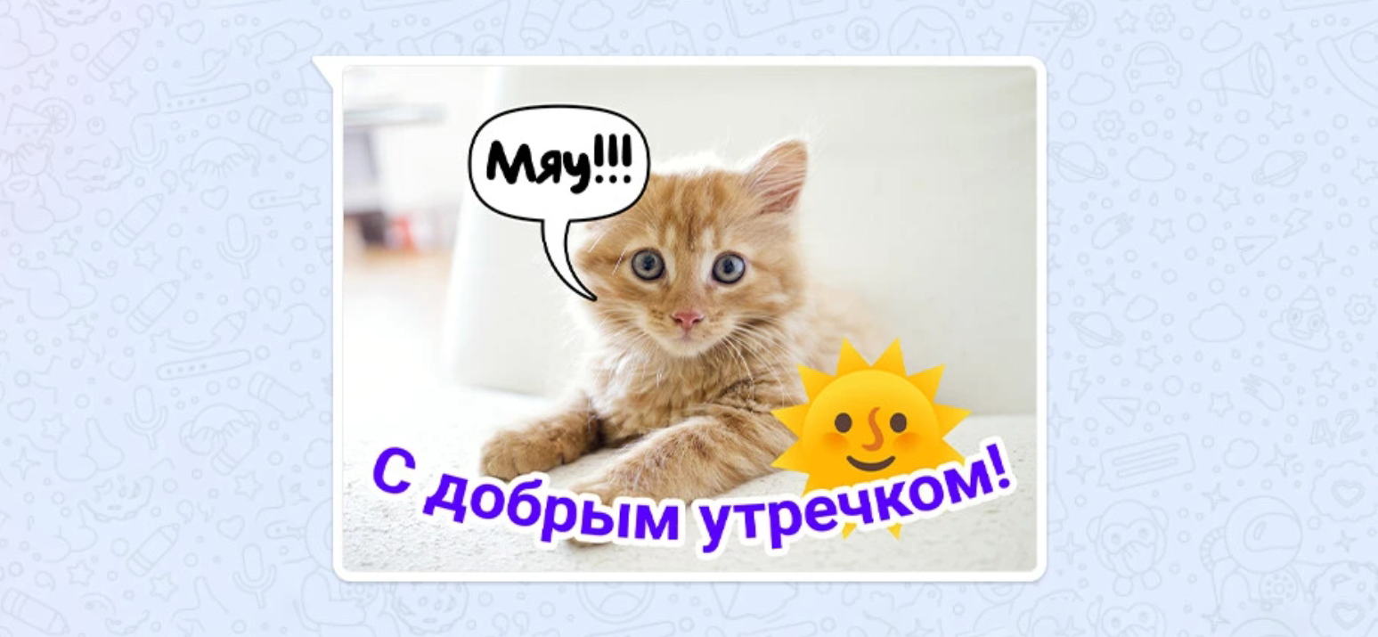 Бесит массовая рассылка сообщений, открыток и видео в мессенджерах