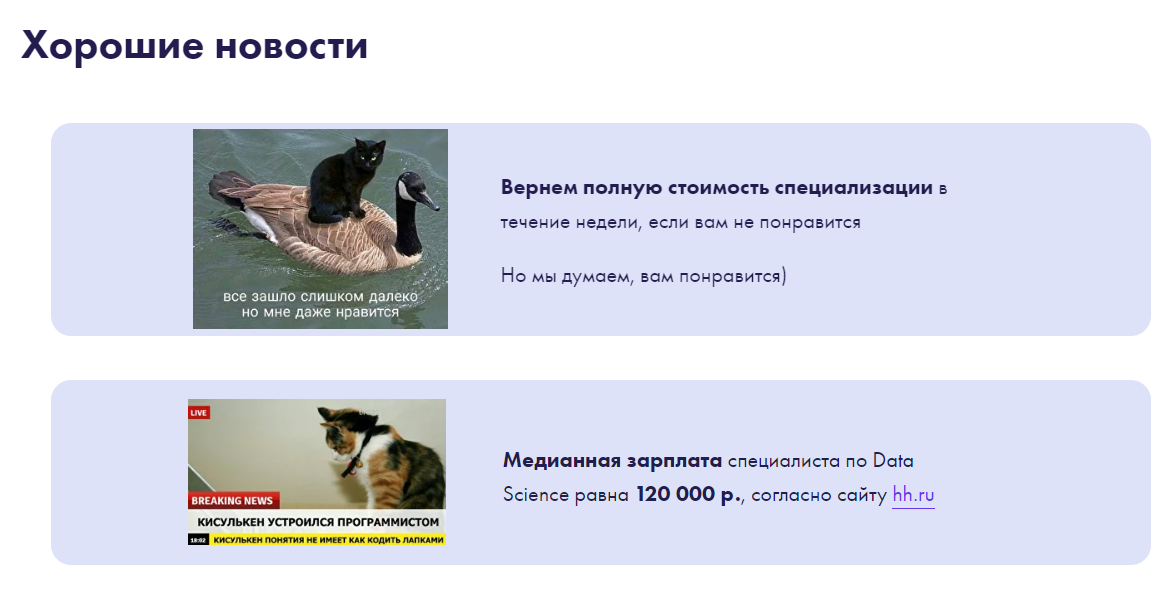 По словам авторов, в курсе больше трехсот мемов с котиками. Источник: stepik.mathfords.ru