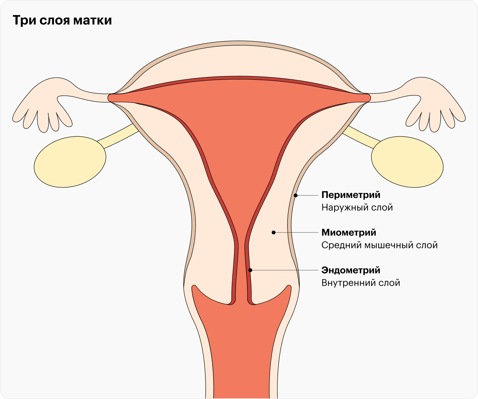 Гипертонус матки: симптомы и лечение