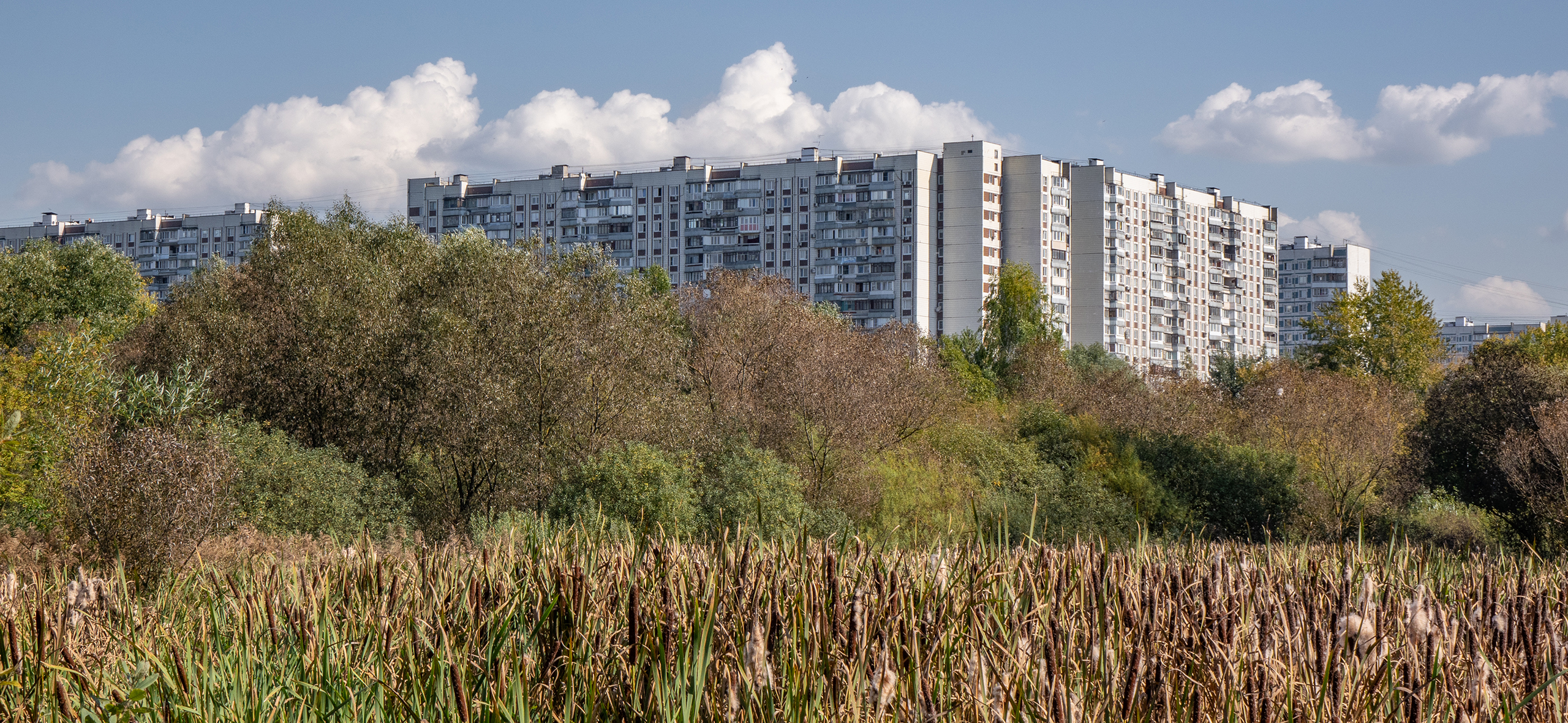 Как живется в рай­⁠­оне Южное Медвед­ково