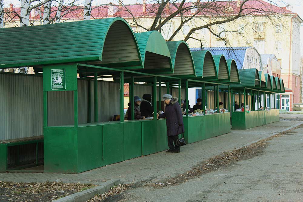 Зеленая элиста. Остановка на зеленом базаре. Зеленый рынок Элиста. Зеленый рынок Владикавказ. Зелёный рынок Владивосток.