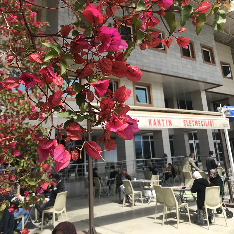 Обычная государственная поликлиника для взрослых в Турции