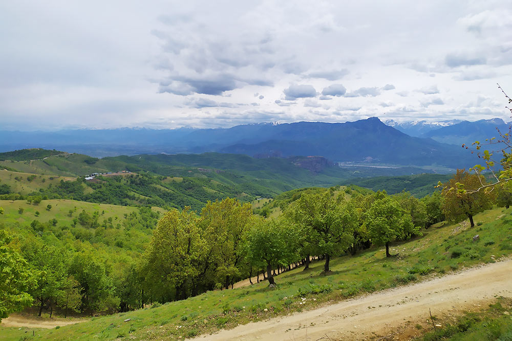 Классические пейзажи в деревне Влахава: зеленые склоны и снежные вершины в дымке облаков на горизонте