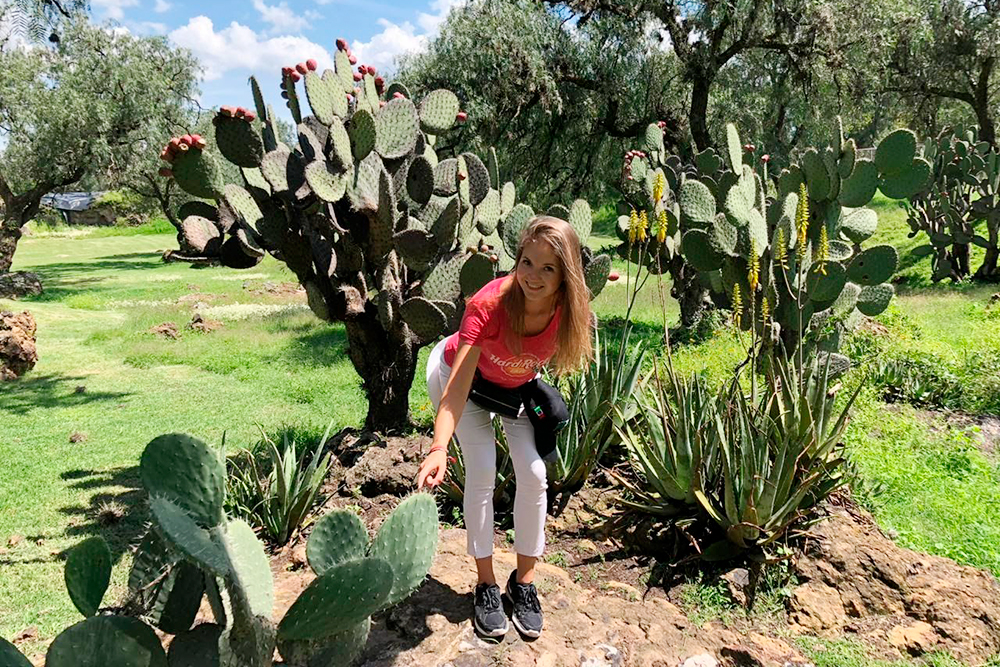 Это я в древнем мексиканском городе Теотиуакан с кактусами нопаль — их тут готовят и едят
