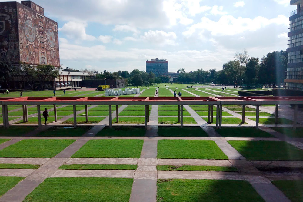 Кампус университета UNAM, рядом с которым мы живем. Я часто гуляю по этому парку с собакой