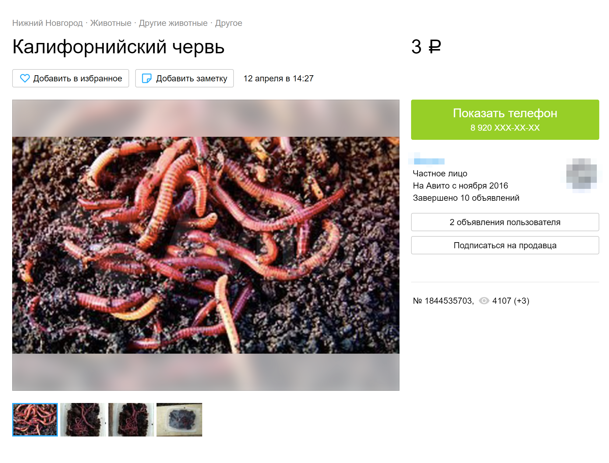 forum.wormcafe.ru