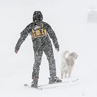 Обложка статьи