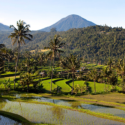 Обложка статьи