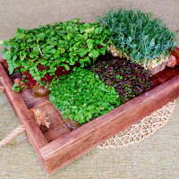 Обложка статьи