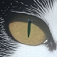 Обложка статьи