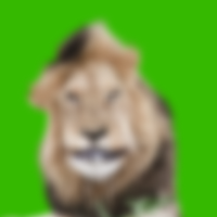 Обложка статьи