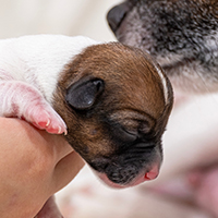 Обложка статьи