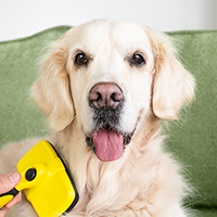 Обложка статьи