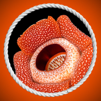 Обложка статьи