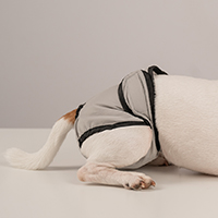 Обложка статьи