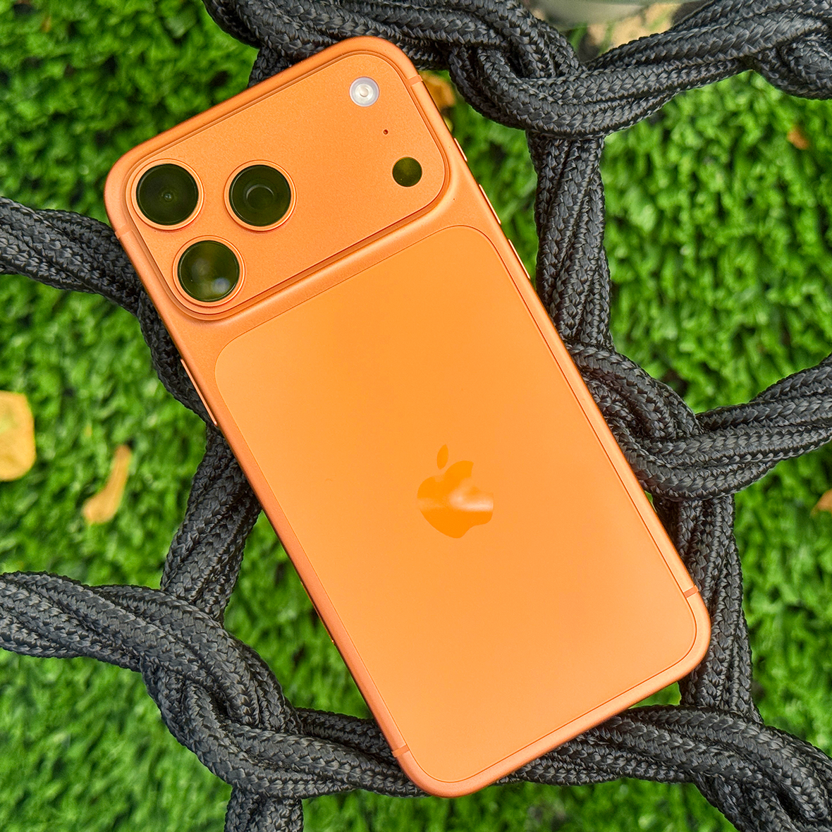 Обложка статьи