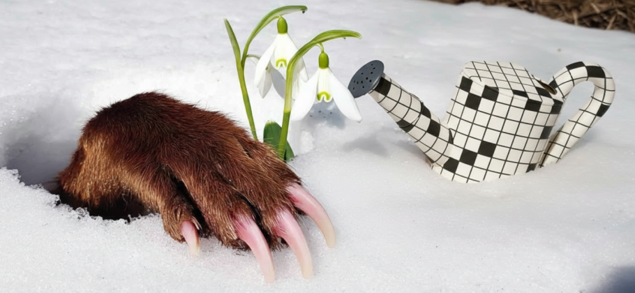 Мини-кроссворд № 55: про пробу­ждение природы